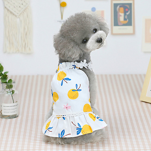 

Dog Cat Dress Pineapple Fruit Basic Adorable Cute Dailywear Casual / Daily Dog Clothes Puppy Clothes Dog Outfits Breathable Yellow Pink Costume for Girl and Boy Dog Cotton XS S M L XL