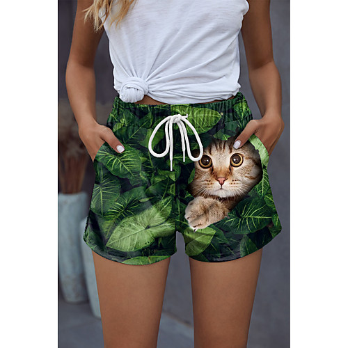 

Women's Stylish Novelty Comfort Holiday Weekend Shorts Pants Cat 3D Graphic Prints Short Sporty Elastic Waist Print Green