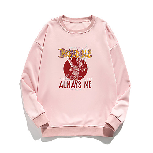 

Women's Hoodie Sweatshirt Bird Print Daily Other Prints Basic Hoodies Sweatshirts Loose Blue Blushing Pink White