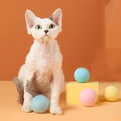 

Ball Interactive Toy Cat Toy Cat Ball Pet Exercise Releasing Pressure Plush Gift Pet Toy Pet Play