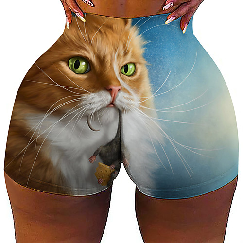

Women's Colorful Fashion Comfort Skinny Holiday Beach Leggings Hot Pants Pants Cat Graphic Prints Animal Short Sporty Elastic Waist Print Blue