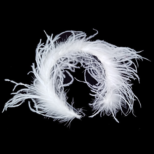 

Elegant Retro Feathers Headdress with Feather / Trim 1 Piece Special Occasion / Party / Evening Headpiece