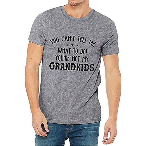 

Men's Unisex T shirt Shirt Hot Stamping Graphic Prints Letter Plus Size Print Short Sleeve Casual Tops 100% Cotton Basic Casual Fashion Round Neck White Gray / Summer