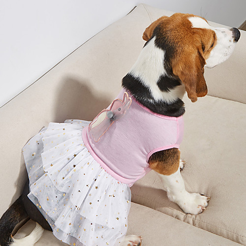 

Dog Dress Stripes Lace Elegant Adorable Cute Dailywear Casual / Daily Dog Clothes Puppy Clothes Dog Outfits Breathable Pink Costume for Girl and Boy Dog Cotton XS S M L XL