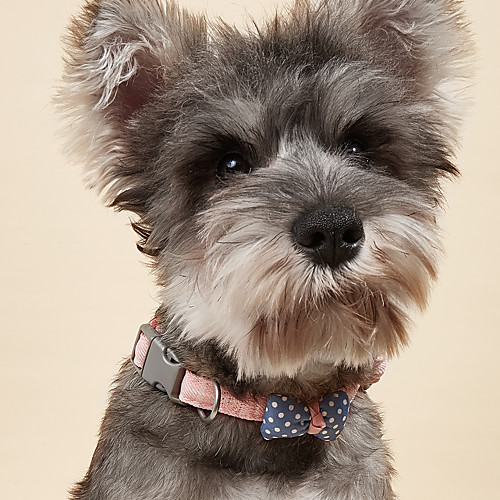 

Dog Pets Collar Tie / Bow Tie Breathable With Bell Adjustable Flexible Durable Outdoor Walking Floral Print Nylon Corgi Beagle Bichon Frise Shih Tzu Poodle Chihuahua Blue Pink Gray 1pc