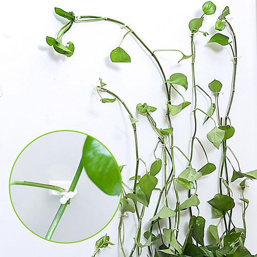 

20pcs Invisible Wall Rattan Clamp Clip Invisible Wall Vine Climbing Sticky Hook Rattan Fixed Clip Bracket Plant Stent Supports