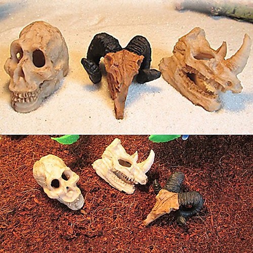 

Aquarium Decoration Resin Rhinoceros Horned Skull Goat-Head Shape Fish Tank Ornament Spider Scorpion Lizard Aquarium Shelter