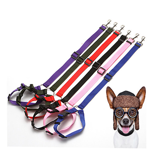 

Dog Cat Training Leash Dog Leash Pet Walking Leash Retractable Adjustable Flexible Escape Proof With Anti-Slip Handle Outdoor Walking Solid Colored Nylon Small Dog Medium Dog Black Purple Red Blue