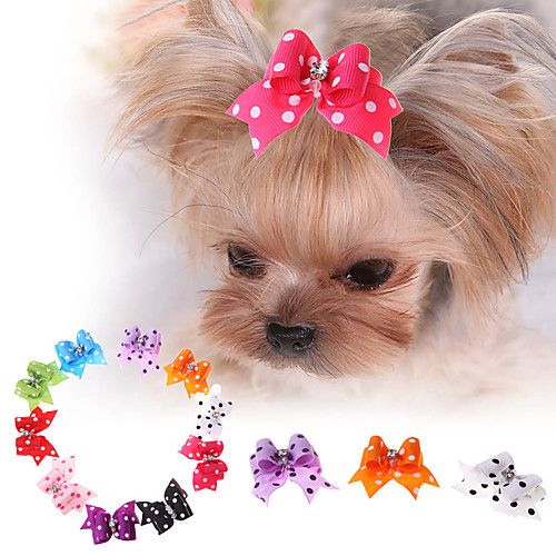 

Dog Cat Pets Ornaments Hair Accessories Hair Bow Rhinestone Strobe / Flashing Handmade For Dog / Cat Bowknot Cute Polka Dot Bowknot Rhinestone Polyester Rainbow 10pcs