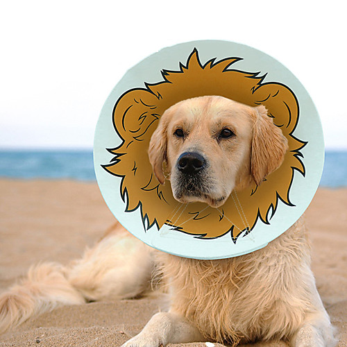 

Dog Cat Pet Cone Pet Recovery Collar Elizabeth circle Adjustable Stress Relieving Safety Anti-Bite Lick Wound Healing After Surgery Protective Walking Animal PP Small Dog
