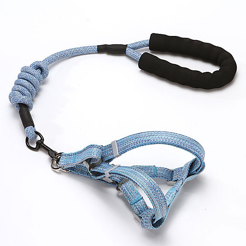 

Dog Cat Training Leash Dog Leash Pet Walking Leash Retractable Adjustable Flexible Escape Proof With Anti-Slip Handle Outdoor Walking Solid Colored Nylon Small Dog Medium Dog Blue Pink Orange Green