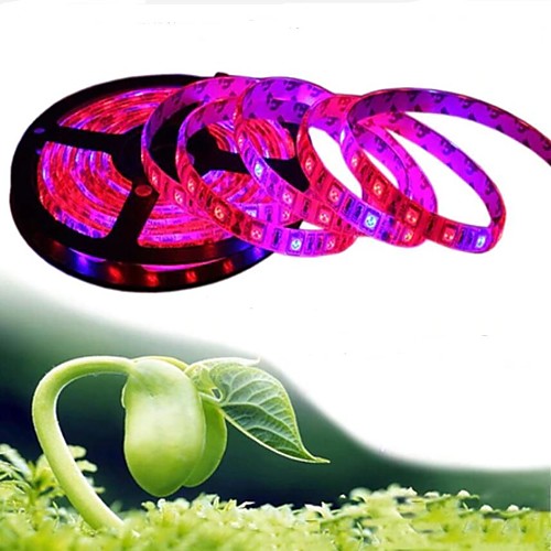 

1PC 5M LED Light Strips Flexible Tiktok Lights 300 x 5050 SMD 10mm LEDs of Plant Generated Lamp Flexible Light Strip 4 Red1 BlueGroup Two Color Mixed Light Plant Lamp with 12V 3A Power