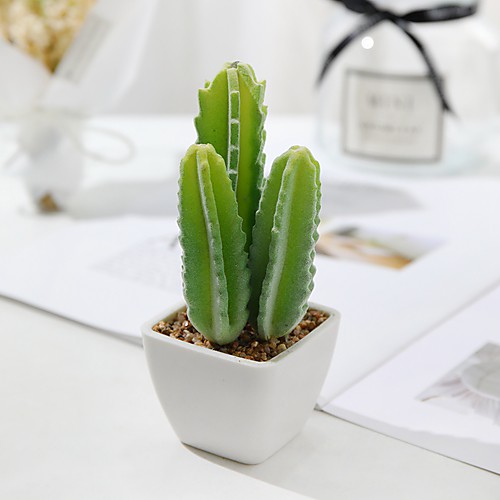 

Simulation Of Cactus Table Decoration 6x14cm