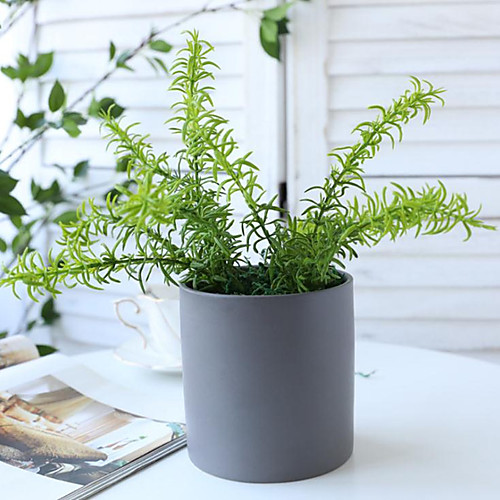 

Simulation Aquatic Plant Flowers Simulation Pine Fern Simulation Succulent Bundle 1 Branch 2610cm