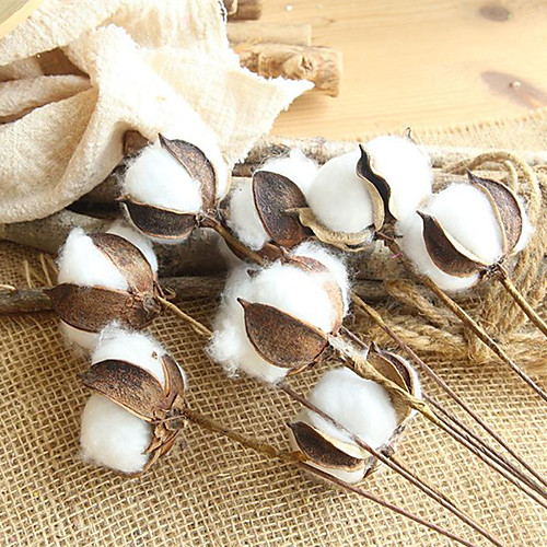 

10 Cotton Branch Natural Dried Flower Imitation Bouquet