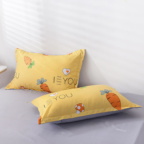 

2pc Set of Pillow Cases Aloe Cotton Soft Comfortable Home Office Pillowcase Living Room Bedroom Sofa Cushion Cover 4874cm