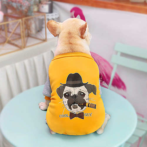 

Dog Cat Sweatshirt Animal Leisure Cute Dailywear Casual / Daily Winter Dog Clothes Puppy Clothes Dog Outfits Warm Yellow Blue Costume for Girl and Boy Dog Fleece S M L XL XXL