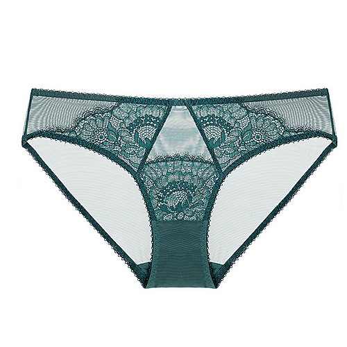 

Women's Lace Brief Micro-elastic Low Waist Light Blue S