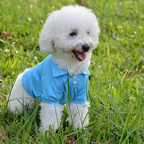 

Dog Cat Polo Elegant Adorable Cute Dailywear Casual / Daily Dog Clothes Puppy Clothes Dog Outfits Breathable Purple Yellow Red Costume for Girl and Boy Dog Fabric XS S M L XL