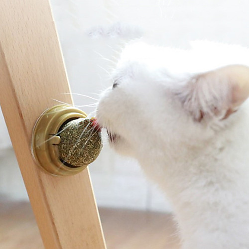 

Teeth Cleaning Toy Cat Toy Catnip Toy Cat Pet Exercise Teething Rope Toy Teething Toy Wood Catnip Gift Pet Toy Pet Play