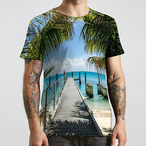 

Men's Unisex Tee T shirt 3D Print Graphic Prints Beach Plus Size Print Short Sleeve Casual Tops Basic Designer Big and Tall Blue