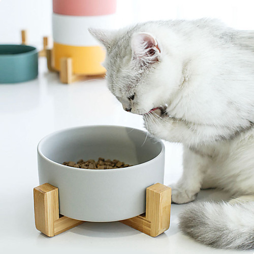 

Dog Cat Pets Feeders / Dog Cat Bowls Glasses Durable No-Spill Solid Colored White Yellow Pink Bowls & Feeding