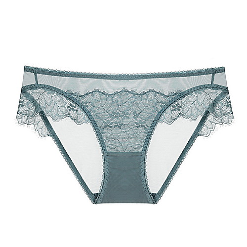 

Women's Lace Brief Micro-elastic Low Waist Blue S