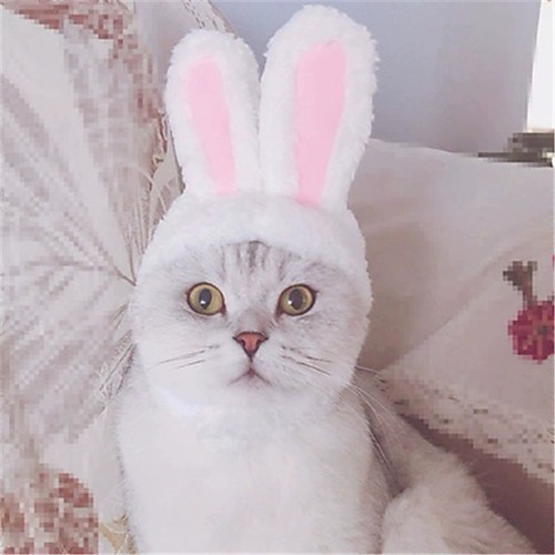 

Dog Cat Costume Hats, Caps & Bandanas Dog Costume Rabbit / Bunny Elegant Adorable Cute Dailywear Casual / Daily Dog Clothes Puppy Clothes Dog Outfits Breathable White Costume for Girl and Boy Dog