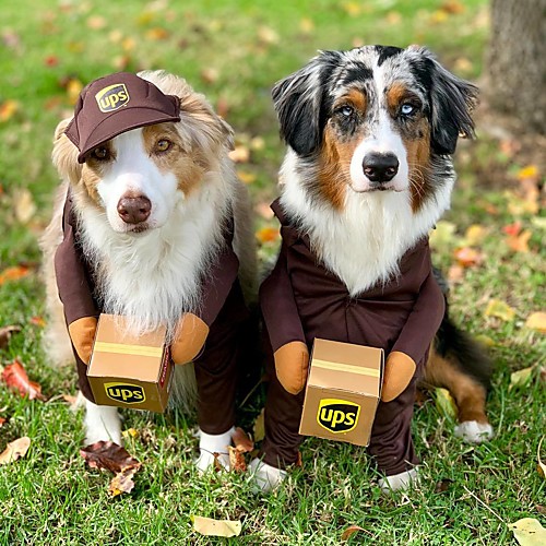 

Dog Cat Dog clothes Letter & Number Funny Festival Winter Dog Clothes Puppy Clothes Dog Outfits Warm Blue Brown Costume for Girl and Boy Dog Cotton S M L