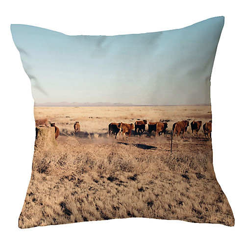 

Double Side Cushion Cover 1PC Soft Decorative Square Throw Pillow Cover Cushion Case Pillowcase for Sofa Bedroom Superior Quality Machine Washable
