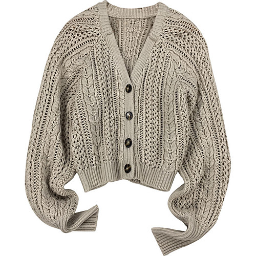 

Women's Solid Color Sweater Long Sleeve Sweater Cardigans V Neck Gray