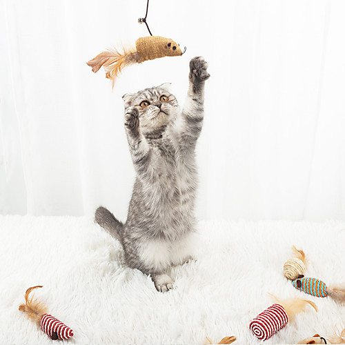 

Interactive Toy Ropes Cat Toys Set Cat Pet Exercise Releasing Pressure Plastic & Metal Gift Pet Toy Pet Play