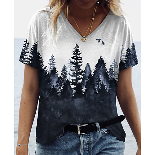 

Women's Abstract 3D Printed Painting T shirt Scenery 3D Print V Neck Basic Tops Gray