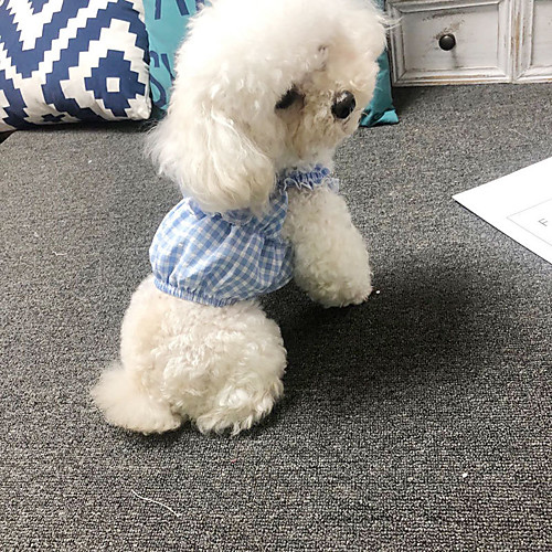 

Dog Dress Dog Costume Plaid / Check Leisure Adorable Dailywear Casual / Daily Dog Clothes Puppy Clothes Dog Outfits Breathable Red Blue Green Costume for Girl and Boy Dog Cotton S M L XL XXL