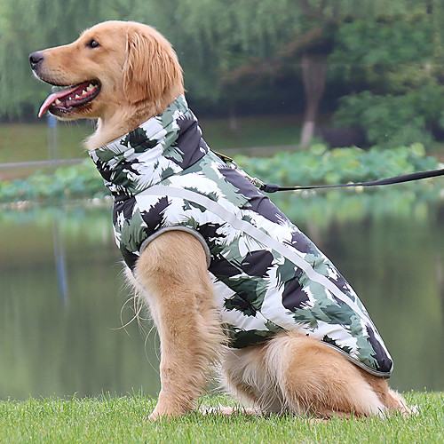 

Dog Dog clothes Floral Botanical Elegant Adorable Cute Dailywear Casual / Daily Winter Dog Clothes Puppy Clothes Dog Outfits Breathable Black / White Red Costume for Girl and Boy Dog Polyester Cotton