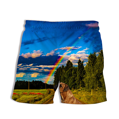 

Men's Casual Designer Quick Dry Breathable Beach Swimming Pool Bermuda shorts Board Shorts Pants Rainbow Graphic Prints Landscape Short 3D Print Drawstring Elastic Waist Blue / Summer / Elasticity