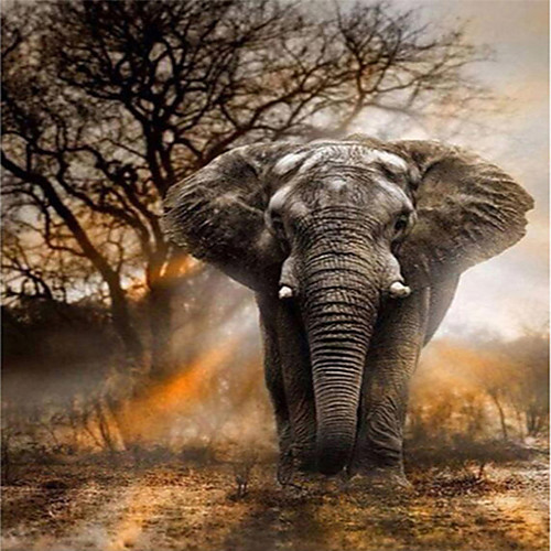 

DIY 5D Diamond Painting Wall Home Décor Decoration Kits Elephant Animal for Adults Kids 3040cm 2030cm