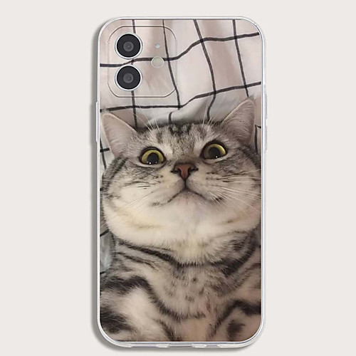 

Phone Case For Apple Back Cover iPhone 12 Pro Max 11 SE 2020 X XR XS Max 8 7 Shockproof Dustproof Graphic TPU