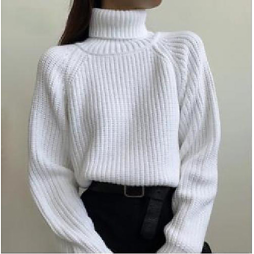 

Women's Solid Color Sweater Long Sleeve Sweater Cardigans High Neck White