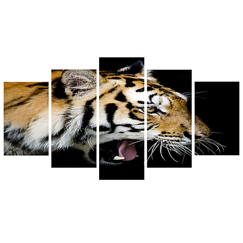 

Print Rolled Canvas Prints - Football Sports Comtemporary Five Panels Art Prints