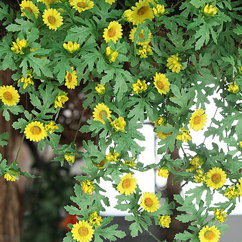 

65cm European Style Imitation Daisy Flower Vine Bundle Wall Hanging Vines Decorative Vines