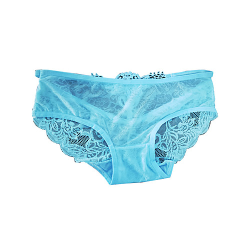 

Women's Lace Brief Micro-elastic Low Waist 1 PC Light Blue One-Size