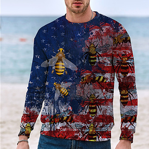 

Men's Unisex Sweatshirt Graphic Prints Flag Print Daily Sports 3D Print 3D Print Casual Hoodies Sweatshirts Blue