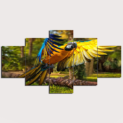 

5 Panels Wall Art Canvas Prints Painting Artwork Picture Forest Bird Parrot Animal Home Decoration Décor Rolled Canvas No Frame Unframed Unstretched