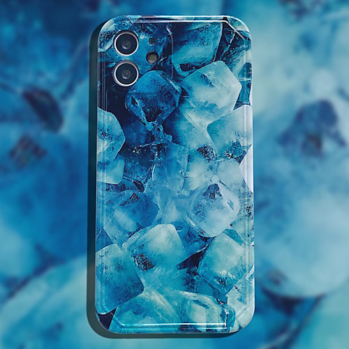 

Phone Case For Apple Back Cover iPhone 12 Pro Max 11 SE 2020 X XR XS Max iphone 7Plus / 8Plus Shockproof Dustproof Graphic TPU