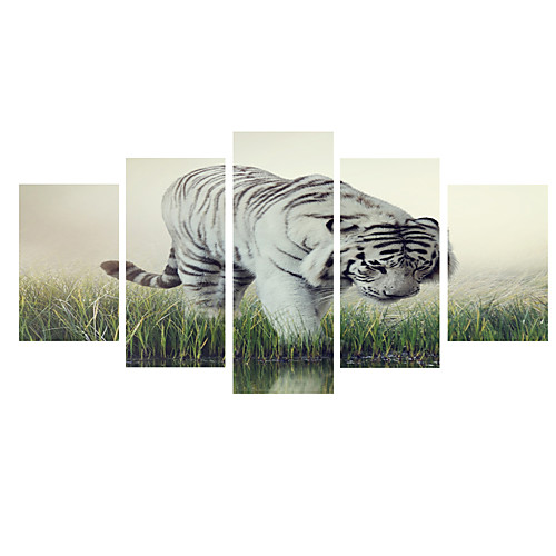 

Print Rolled Canvas Prints - Football Sports Comtemporary Five Panels Art Prints