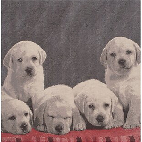 

Dogs Wall Tapestry Art Decor Blanket Curtain Hanging Home Bedroom Living Room Decoration Polyester