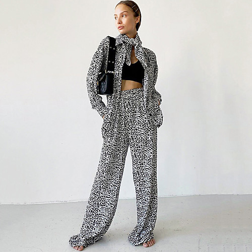

Women's Basic Leopard Casual Daily Wear Two Piece Set Blouse Pants Sets Matching Sets Pant Wide leg pants Print Tops
