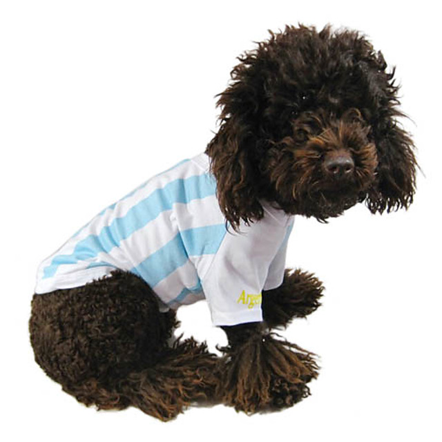 dog football shirt