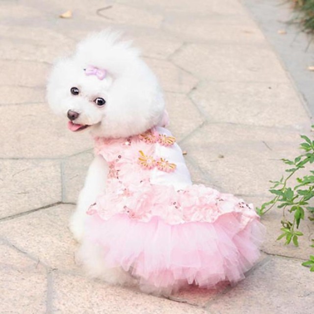 Dog princess. Платье для собак. Собака в розовом платье. Платья для собак самые красивые. Собака в свадебном платье.